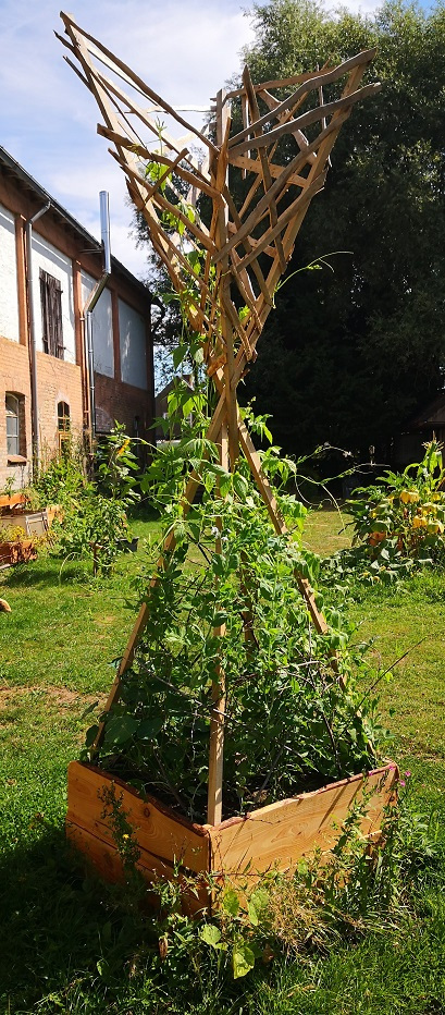 Hochbeet mit Rankgitter